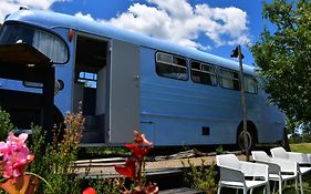 Evi The School Bus At Oromahoe Downs Farm