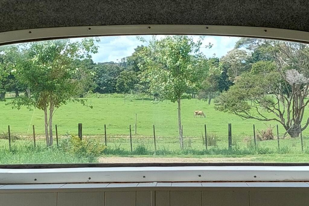 Evi The School Bus At Oromahoe Downs Farm Puketona Exterior foto